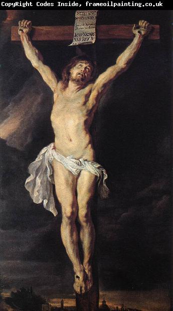 RUBENS, Pieter Pauwel The Crucified Christ af